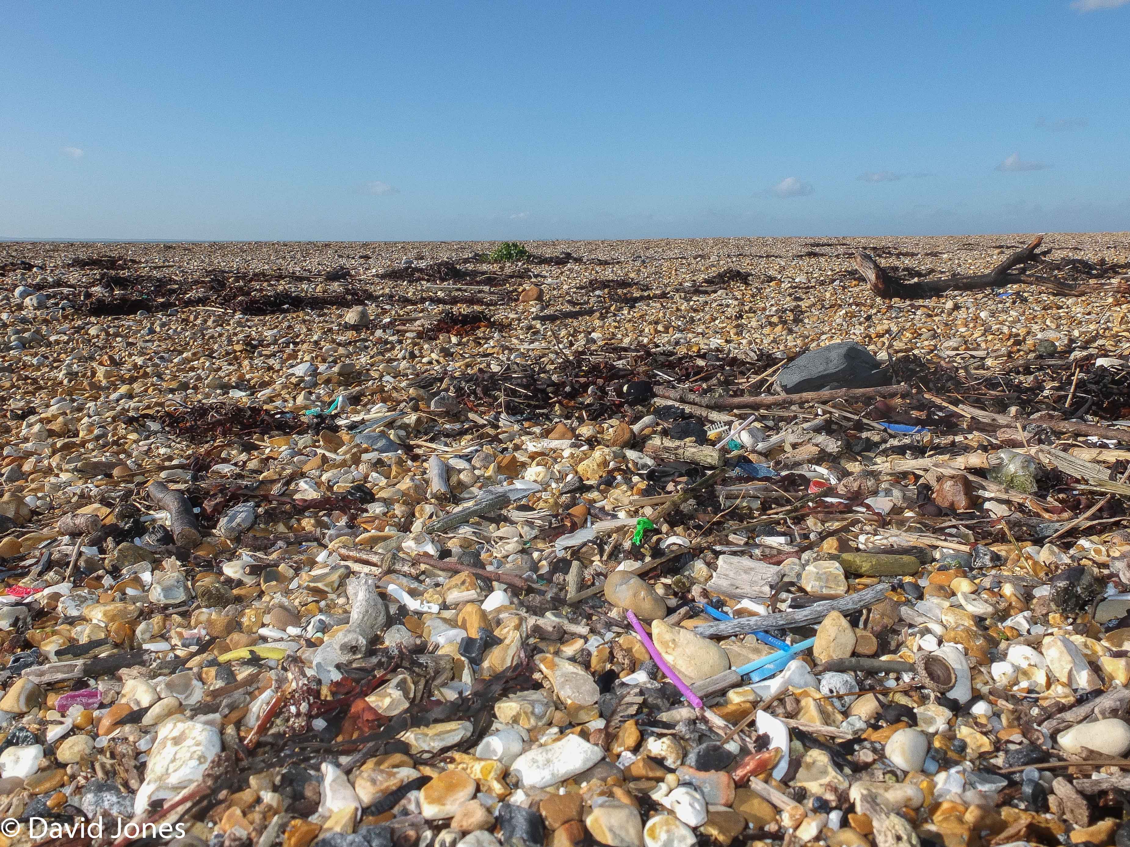 Second Microplastic Survey in West Sussex