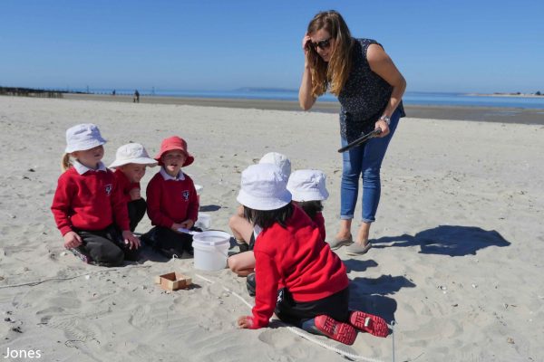 children finding microplastics in the sand