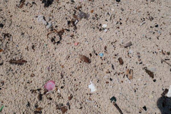 microplastics in the sand