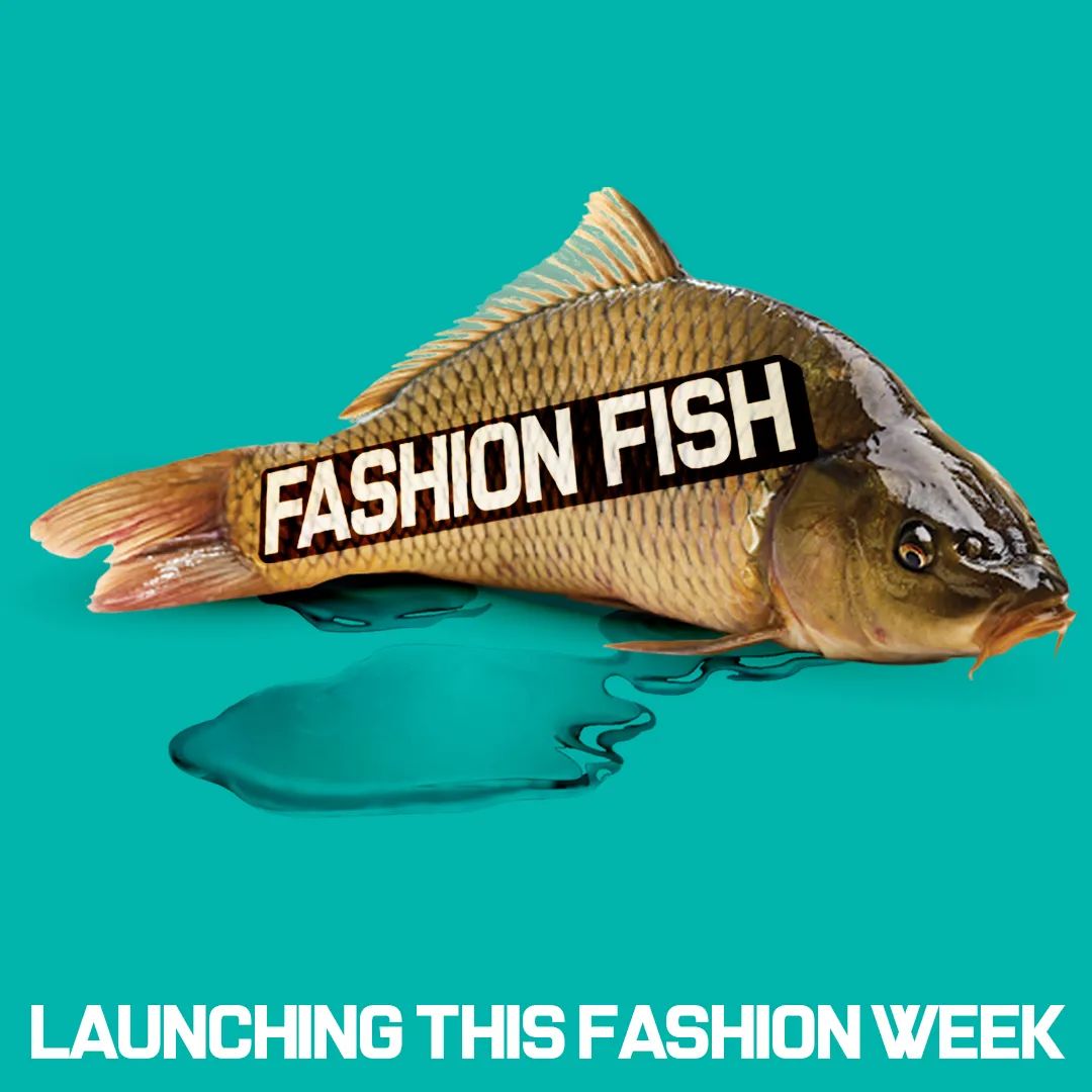 Fashion Fish Store is Open
